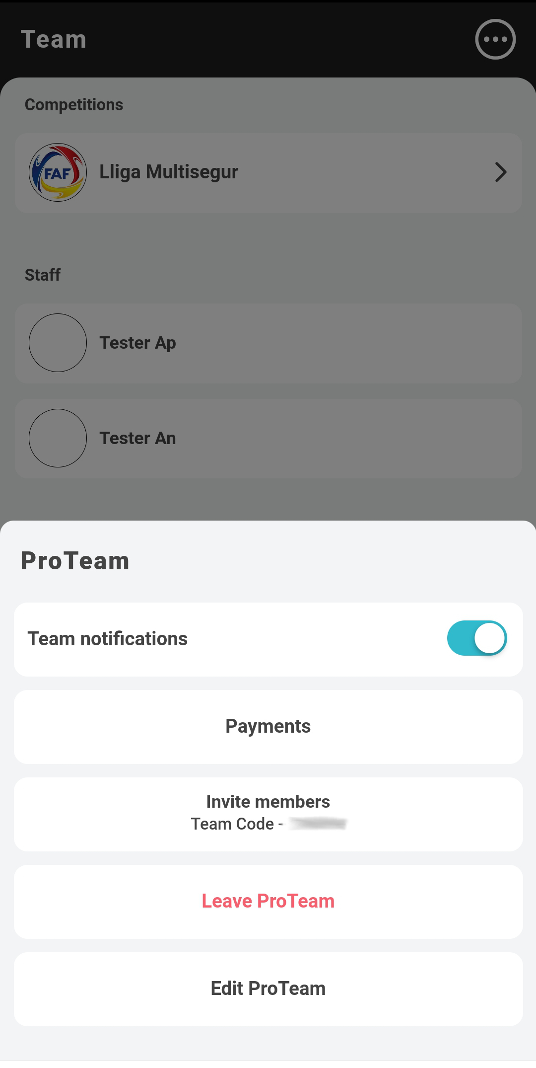 teamsettings.jpg